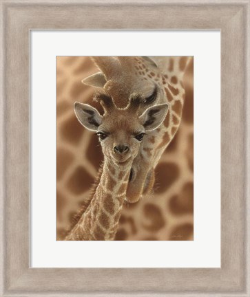 Framed Newborn Giraffe Print