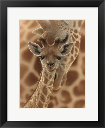 Framed Newborn Giraffe Print