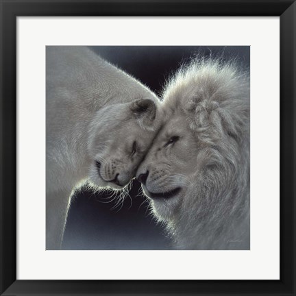 Framed White Lion Love Print