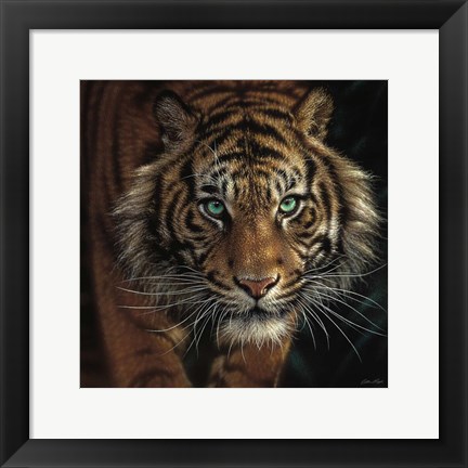 Framed Eye of the Tiger - Square Print