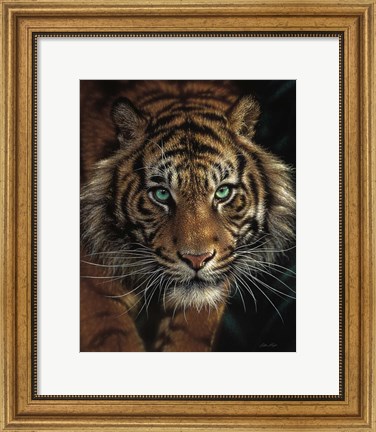 Framed Eye of the Tiger Print