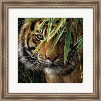 Framed Tiger - Emerald Forest Print