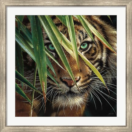 Framed Tiger Eyes Print