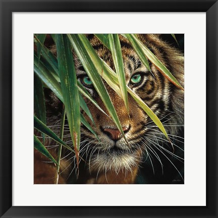 Framed Tiger Eyes Print