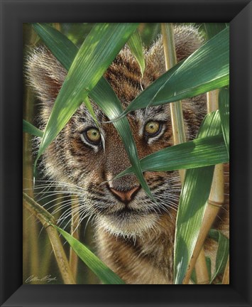 Framed Tiger Cub - Peekaboo Print