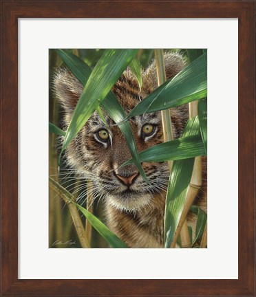 Framed Tiger Cub - Peekaboo Print