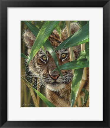 Framed Tiger Cub - Peekaboo Print