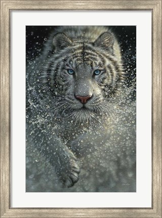 Framed White Tiger - West and Wild Print