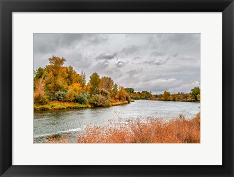 Framed Snake River Autumn V Print