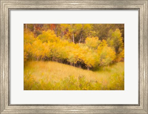 Framed Fall Thicket Print