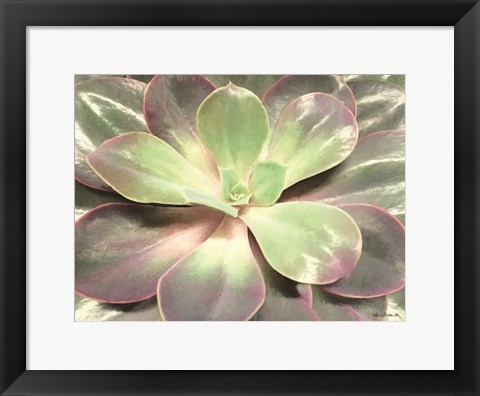 Framed Glowing Succulent I Print