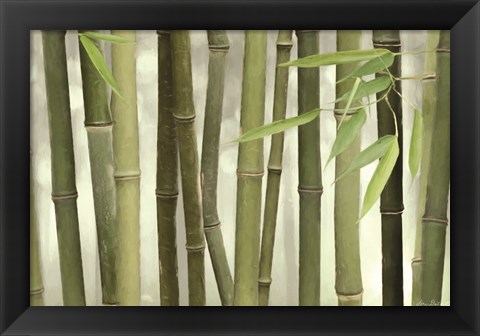 Framed Backlit Bamboo I Print