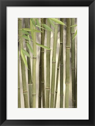 Framed Backlit Bamboo II Print