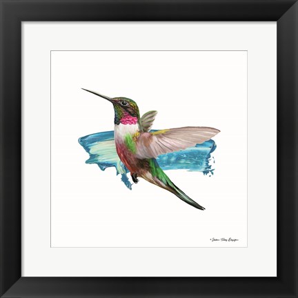 Framed Hummingbird II Print