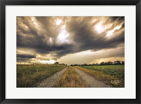 Framed Embrace the Storm II Print