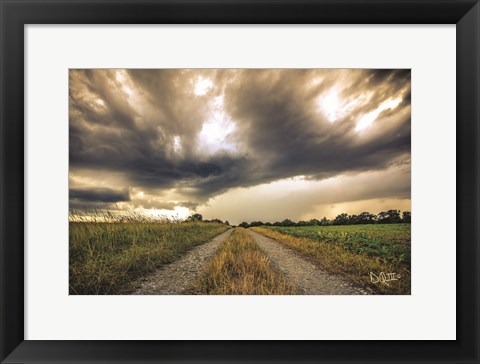 Framed Embrace the Storm II Print