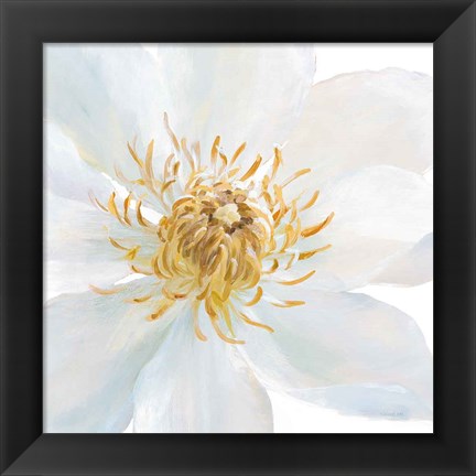 Framed Contemporary Clematis Gray Print