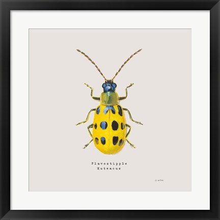 Framed Adorning Coleoptera VII Sq Golden Print