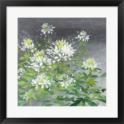 Framed Farmhouse Cleome II Print