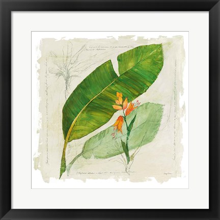 Framed Botanical Study I Light Print