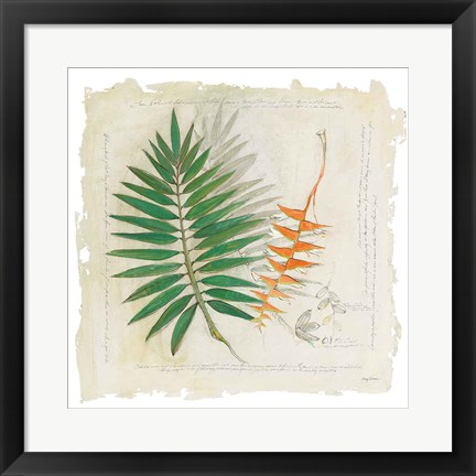 Framed Botanical Study II Light Print