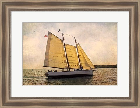 Framed Morning Sail Print