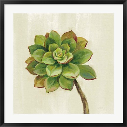 Framed Front Yard Succulent IV Print