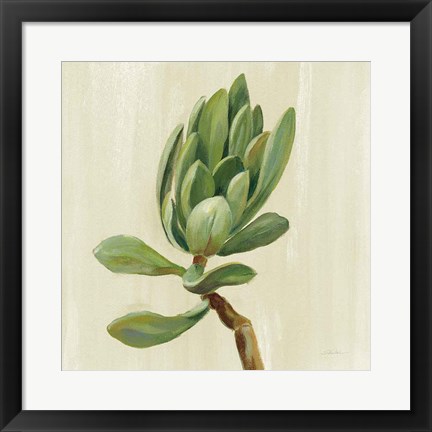 Framed Front Yard Succulent III Print