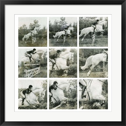 Framed Jumping Horse Print