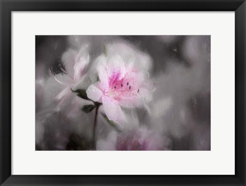 Framed Pink Azalea Print