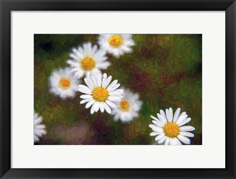 Framed Daisy Cluster Print