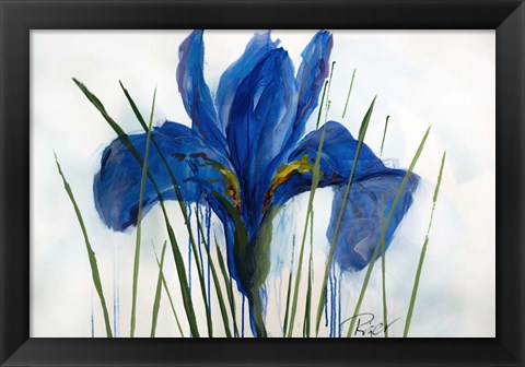 Framed Iris Sings the Blues Print