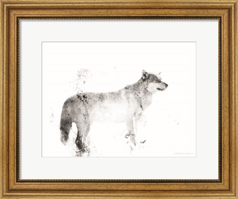 Framed Wolf Print