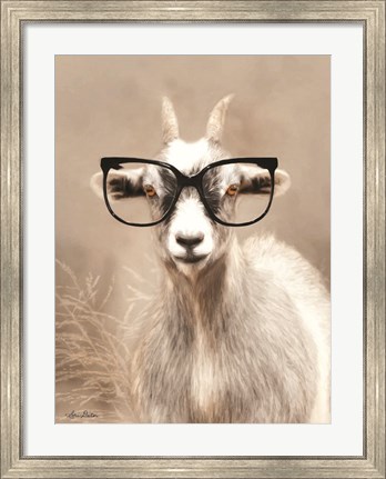 Framed See Clearly Goat Print